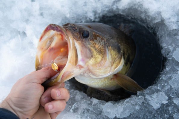 Fishing for Bass in Winter: Key Reminders and Tips for Success