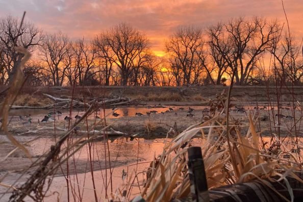 Full Body vs Silhouette Decoys for Waterfowl: Pros and Cons for Goose Hunters