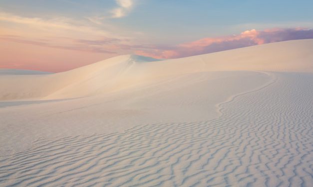 Go Wide Assignment Winner Laura Zirino