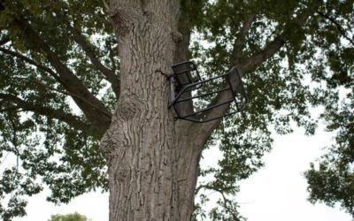 Hang On Treestands, and Why I’ve Never Liked Them