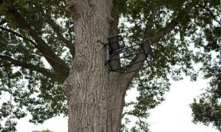 Hang On Treestands, and Why I’ve Never Liked Them