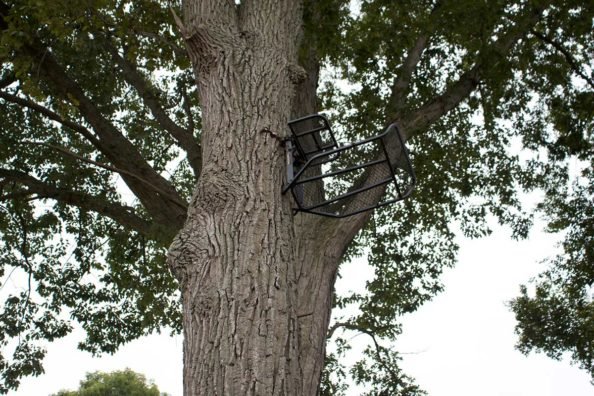 Hang On Treestands, and Why I’ve Never Liked Them