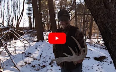 Hunter Fools His Buddies With Planted Shed Antler Prank