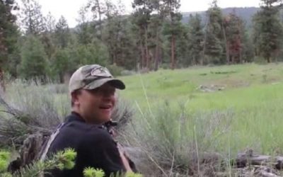 Hunters Stunned by the Sound of a Mountain Lion in Heat