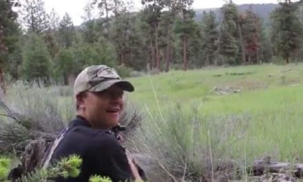 Hunters Stunned by the Sound of a Mountain Lion in Heat