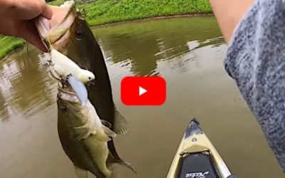 Kayak Angler Lands Two Bass on Same Cast Using a Bird Lure