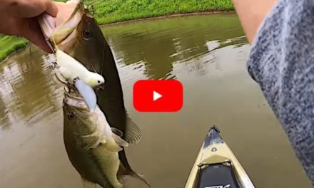 Kayak Angler Lands Two Bass on Same Cast Using a Bird Lure