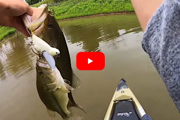 Kayak Angler Lands Two Bass on Same Cast Using a Bird Lure