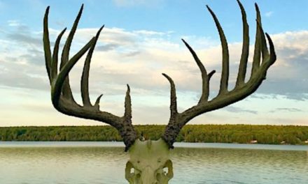 Newly Unearthed 200-Inch Buck Shot in the1960s Shatters Pennsylvania Typical Record