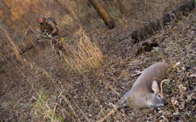 One Way to Keep Your Venison From Going Bad in the Field