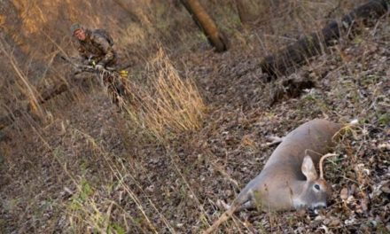 One Way to Keep Your Venison From Going Bad in the Field