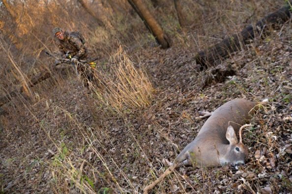 One Way to Keep Your Venison From Going Bad in the Field