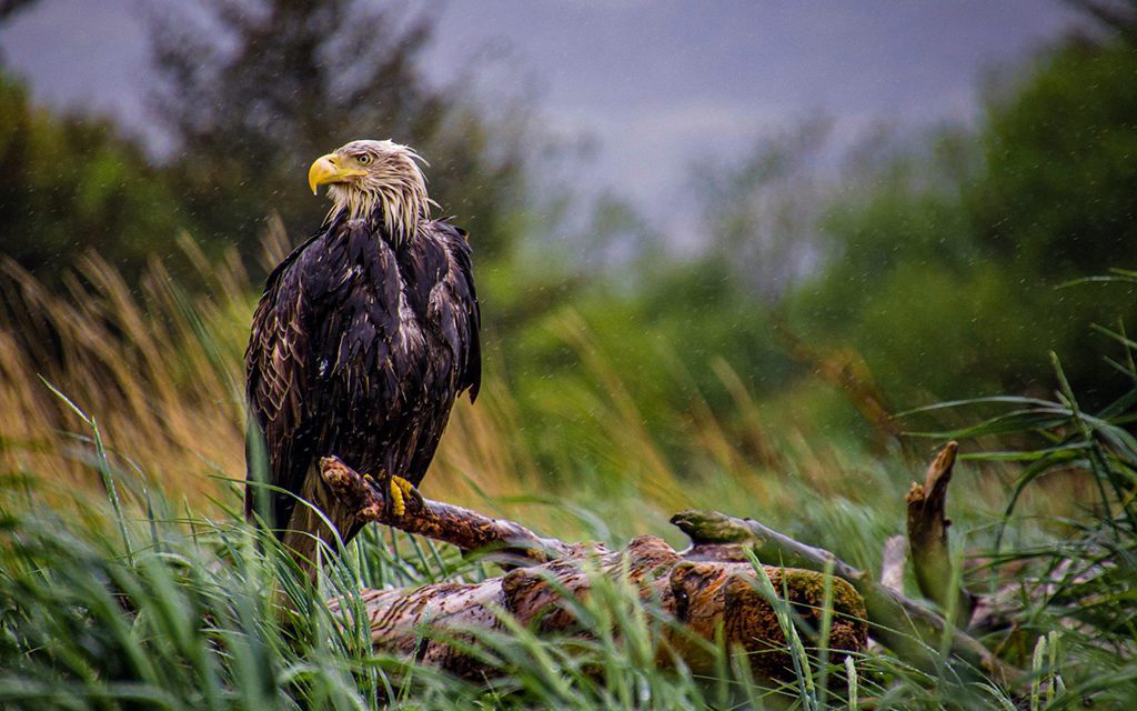 Photo Of The Day By BraydenPfister