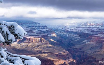 Photos Of The Day For December 2021