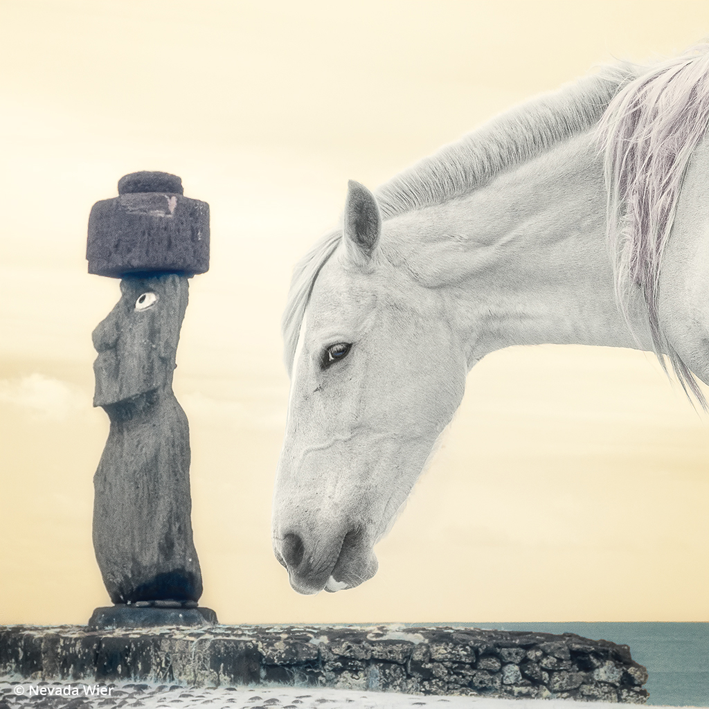 Infrared photo of a horse in Chile.