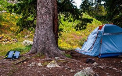 Solar Chargers for Camping: 5 Best Choices for Outdoorsmen and Women