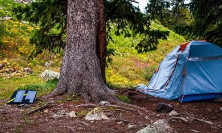 Solar Chargers for Camping: 5 Best Choices for Outdoorsmen and Women