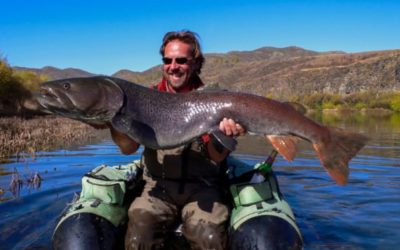 Taimen Fishing: Where, When, and How to Fish for This Impressive Species