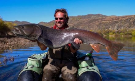 Taimen Fishing: Where, When, and How to Fish for This Impressive Species