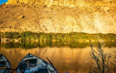 The Best Colorado Trout Fishing Destinations