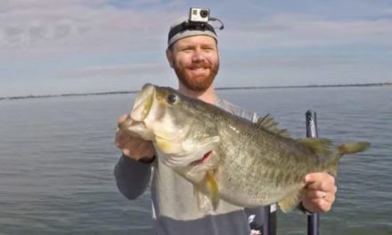 These Guys Catch Five Bass for an Earth-Shattering 49 Pounds, 3 Ounces