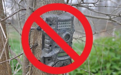 Utah Becomes Second State to Enact Total Trail Camera Ban for Hunting