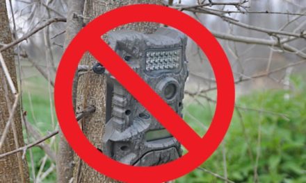 Utah Becomes Second State to Enact Total Trail Camera Ban for Hunting
