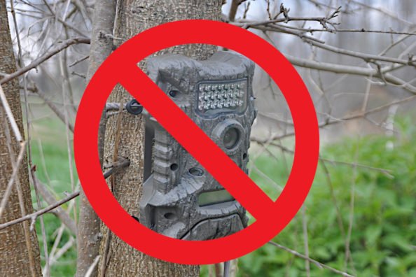 Utah Becomes Second State to Enact Total Trail Camera Ban for Hunting