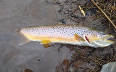Winter Fishing Vacation: 6 Top Destinations to Consider for Winter Angling Fun