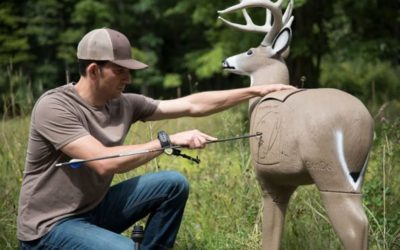 10 Best 3D Archery Targets on the Market Today