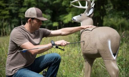 10 Best 3D Archery Targets on the Market Today