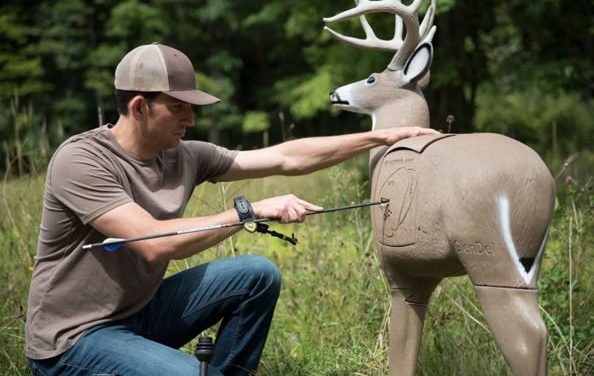 10 Best 3D Archery Targets on the Market Today