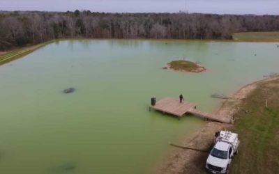 12,000 Fish Get Added to a Homemade 5-Acre Pond
