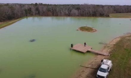 12,000 Fish Get Added to a Homemade 5-Acre Pond