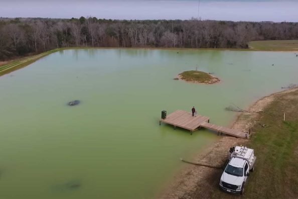 12,000 Fish Get Added to a Homemade 5-Acre Pond