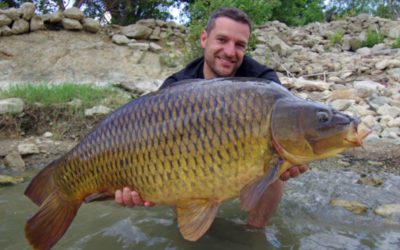 3 Unexpectedly Tasty Freshwater Fish Worth Trying Yourself