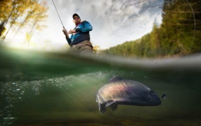 5 Best Men’s Fishing Hoodies of 2022: Comfy, Warm, and Budget-Friendly