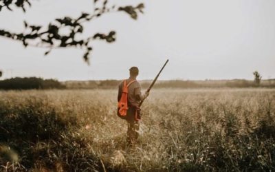 5 Things Public Land Hunters Didn’t Have to Deal With 25 Years Ago