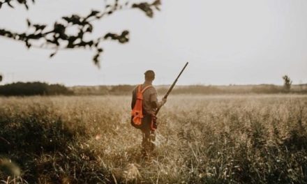 5 Things Public Land Hunters Didn’t Have to Deal With 25 Years Ago