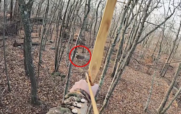 Archer Heart Shots Buck With Handmade Bow and Stone Broadhead