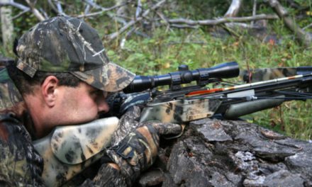 Breaking Down the Misconceptions and Hatred of Crossbow Deer Hunting