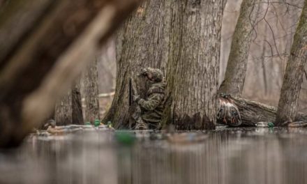 Camo vs. Solids: Finding Out What’s Best for Your Kind of Hunting