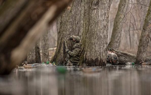 Camo vs. Solids: Finding Out What’s Best for Your Kind of Hunting