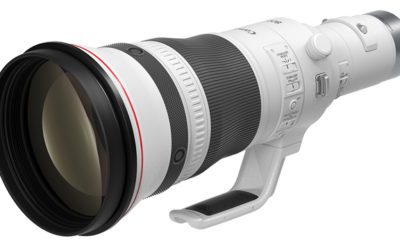 Canon Introduces 800mm & 1200mm Super Tele Primes
