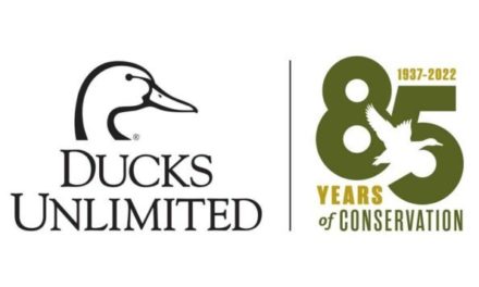 Ducks Unlimited Just Celebrated Its 85th Year of Waterfowl Conservation