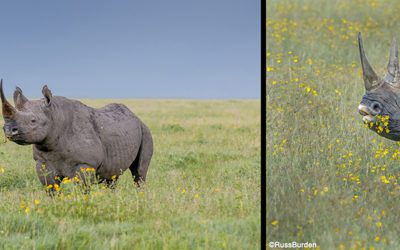 Environmental Vs. Portrait Photography
