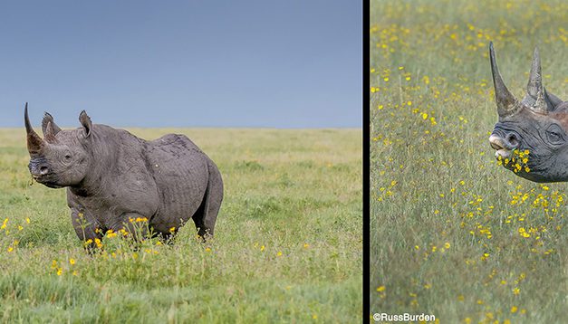 Environmental Vs. Portrait Photography