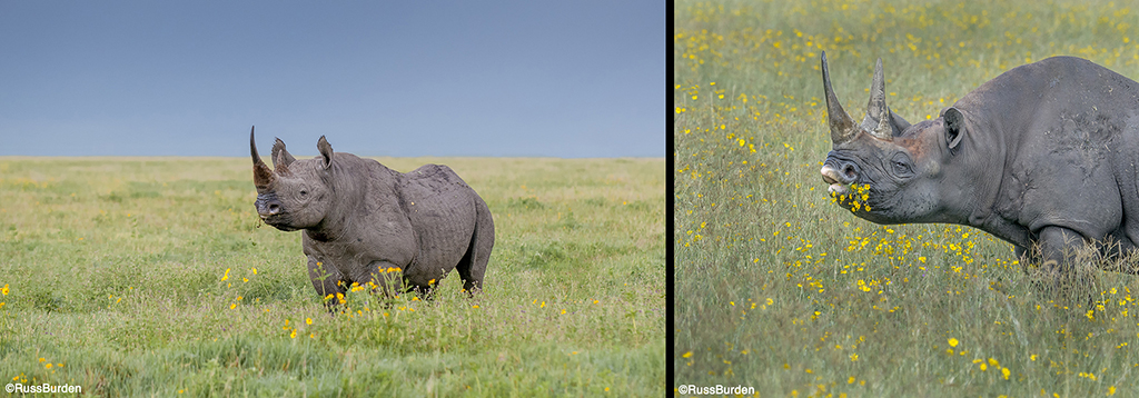 Environmental Vs. Portrait Photography