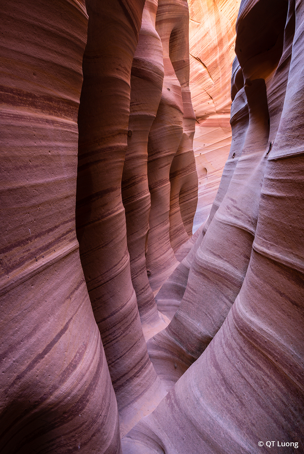 Photograph of Zebra Slot Canyon.