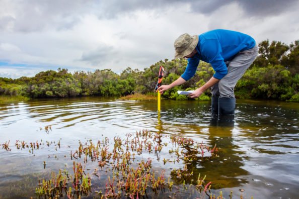 How Hunters and Anglers Can Be Citizen Scientists and Help Conservation